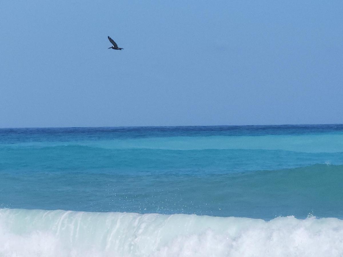 Beachfront Apartment, Quiet 4 Beds, 1 Bath, Ac, Wi-Fi, Hot Water, In Paraiso Near Los Patos מראה חיצוני תמונה